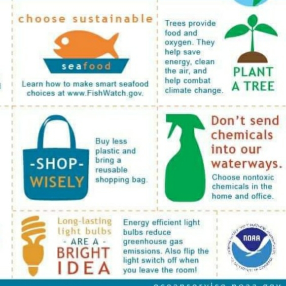 Earth Day Every Day ♻️💚🌎 - Picture 5 of 5